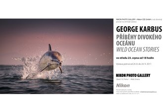 Photo Výstava fotografií Georgea Karbusa: Príbehy divokého oceánu