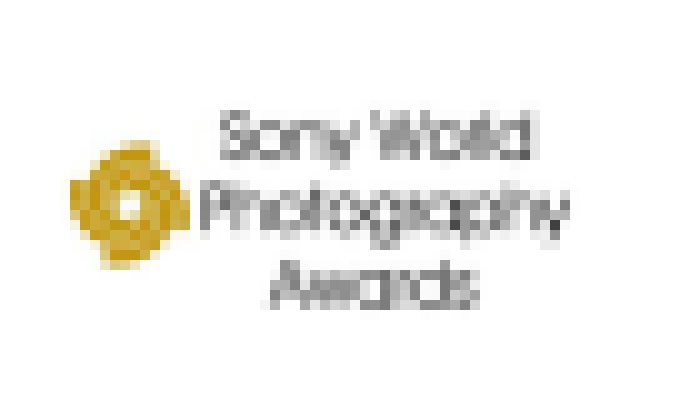 Photo CZ: Súťaž Sony World Photography Awards prináša nové kategórie pre rok 2020 a predstavuje mená príjemcov grantov