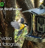 Photo EVOLVEO StrongVision BirdFeeder. Inteligentné kŕmidlo pre vtáky s kamerou, diaľkovým prístupom a solárnym panelom